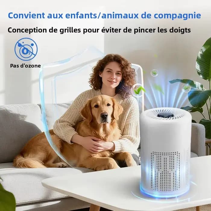 Purificateur d'air, générateur d'ions négatifs